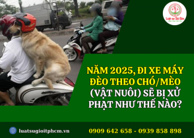 Năm 2025, đi xe máy đèo theo chó/mèo (vật nuôi) sẽ bị xử phạt như thế nào?
