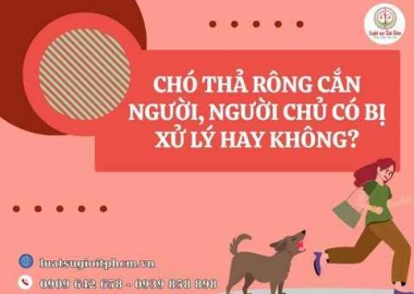 Chó thả rông cắn người, người chủ có bị xử lý hay không?