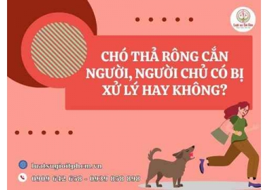Chó thả rông cắn người, người chủ có bị xử lý hay không?